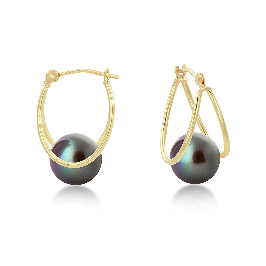 14K Yellow Gold Oval Captured Black Freshwater Pearl Hoop Earrings