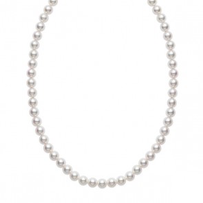 14 Karat yellow Gold Strand 18 Inch With 6.00-6.5 mm Freshwater Pearls