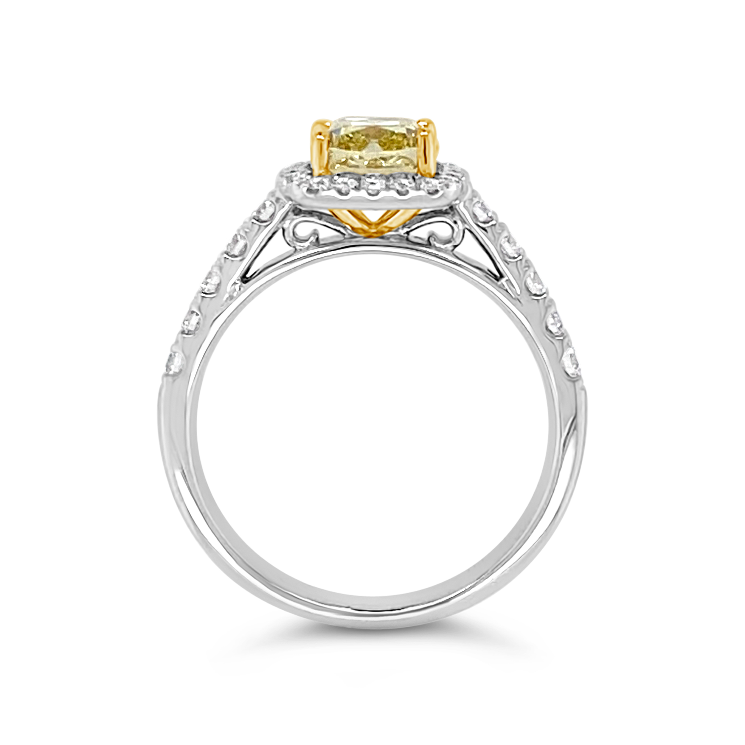 Yes By Martin Binder Platinum Yellow Diamond Halo Ring (2.00 Ct. Tw.)