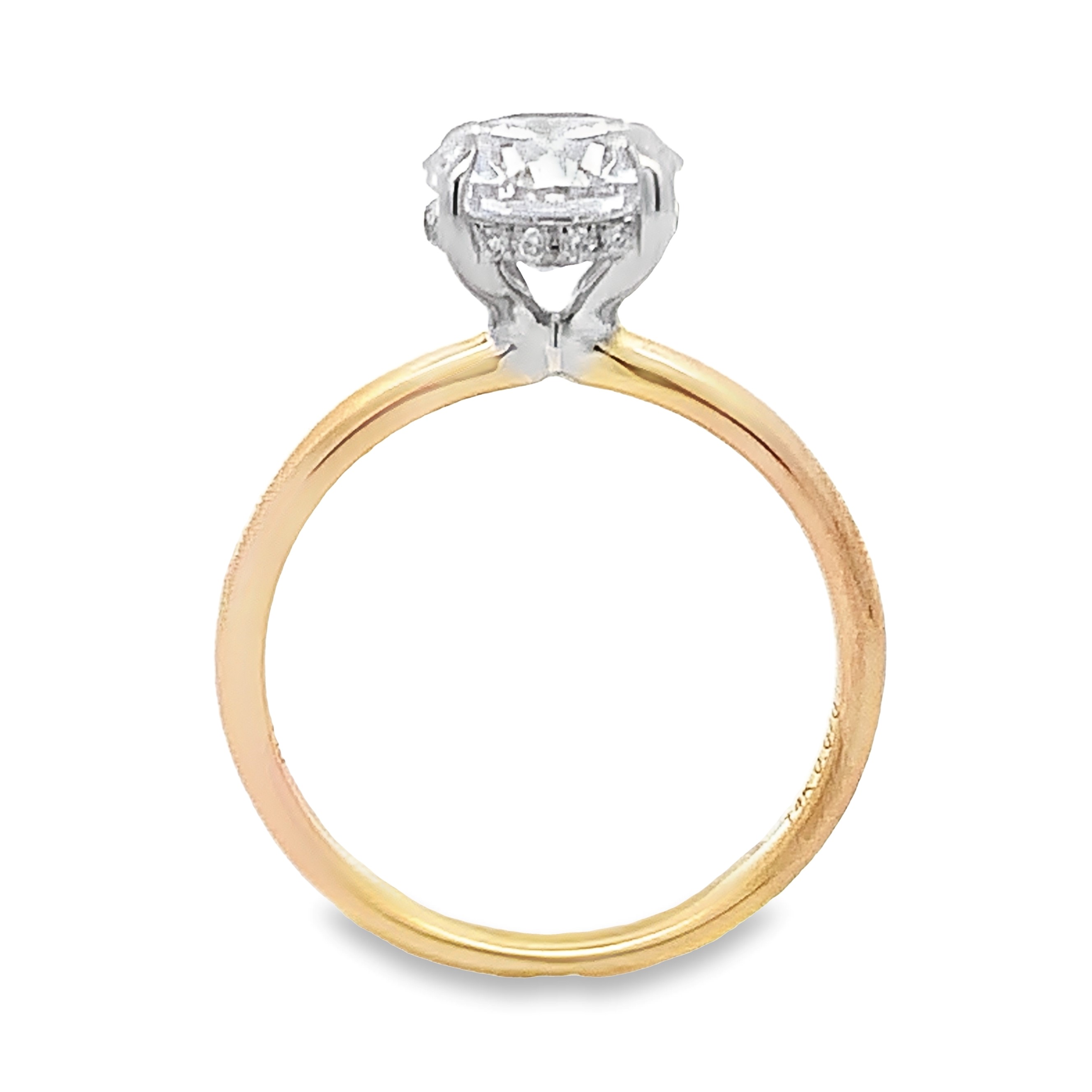 14K Two-Tone Hidden Halo Engagement Ring Setting