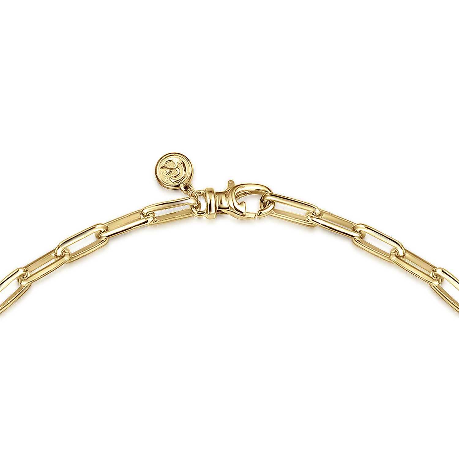 Gabriel & Co. 14K Yellow Gold 22 Paperclip Link Chain